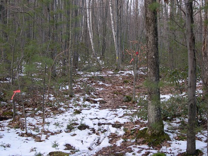 NorthernEntranceBefore2